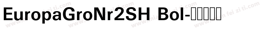 EuropaGroNr2SH Bol字体转换